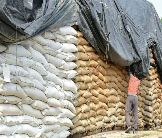 WHEAT STOCK