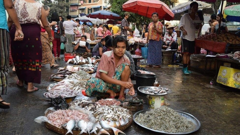 Hilsa fish market in India